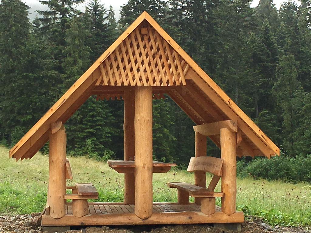 Apartamento Siwa Skala Kościelisko Exterior foto